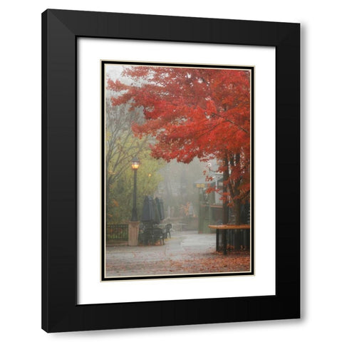 Fall Plaza III Black Modern Wood Framed Art Print with Double Matting by Geyman, Vitaly