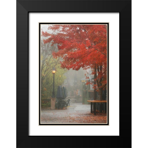 Fall Plaza III Black Modern Wood Framed Art Print with Double Matting by Geyman, Vitaly