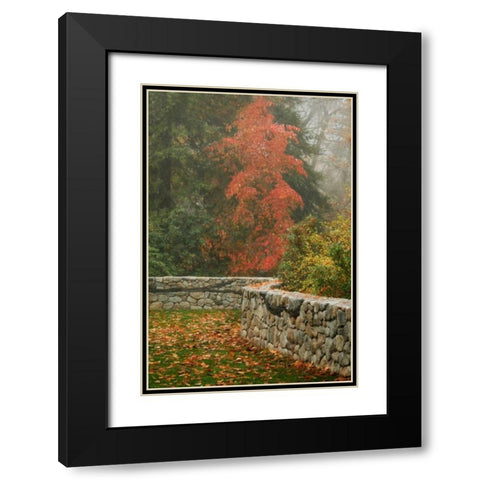 Fence Mosaic I Black Modern Wood Framed Art Print with Double Matting by Geyman, Vitaly