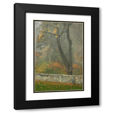 Fence Mosaic II Black Modern Wood Framed Art Print with Double Matting by Geyman, Vitaly