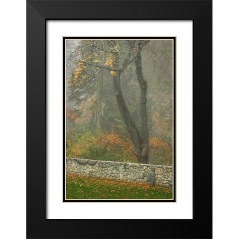 Fence Mosaic II Black Modern Wood Framed Art Print with Double Matting by Geyman, Vitaly