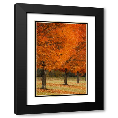 Splash of Color II Black Modern Wood Framed Art Print with Double Matting by Geyman, Vitaly