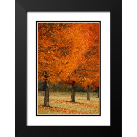 Splash of Color II Black Modern Wood Framed Art Print with Double Matting by Geyman, Vitaly