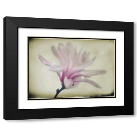 Floral Dreams I Black Modern Wood Framed Art Print with Double Matting by Geyman, Vitaly
