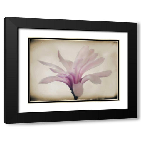 Floral Dreams II Black Modern Wood Framed Art Print with Double Matting by Geyman, Vitaly