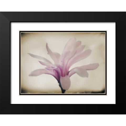 Floral Dreams II Black Modern Wood Framed Art Print with Double Matting by Geyman, Vitaly