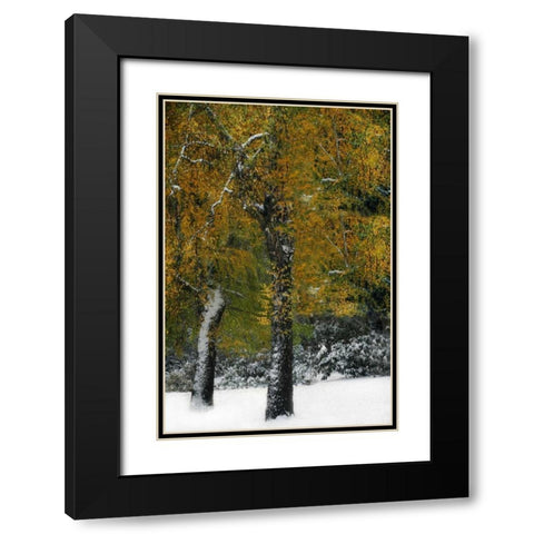 Last of Color I Black Modern Wood Framed Art Print with Double Matting by Geyman, Vitaly