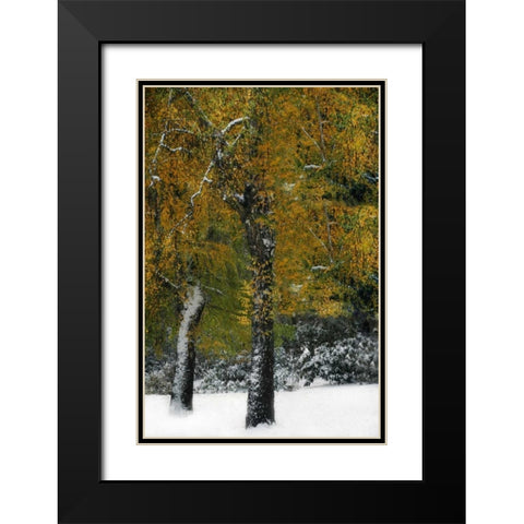 Last of Color I Black Modern Wood Framed Art Print with Double Matting by Geyman, Vitaly