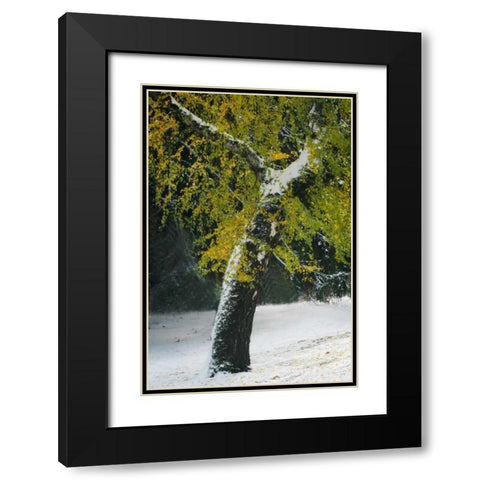 Last of Color II Black Modern Wood Framed Art Print with Double Matting by Geyman, Vitaly