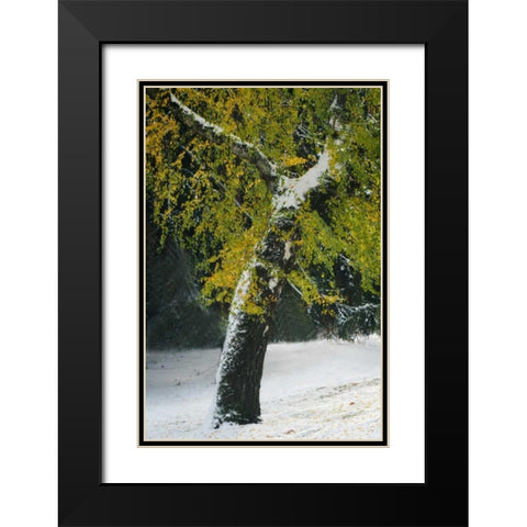 Last of Color II Black Modern Wood Framed Art Print with Double Matting by Geyman, Vitaly