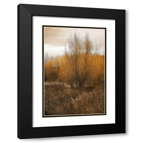 Spring Serenity I Black Modern Wood Framed Art Print with Double Matting by Geyman, Vitaly