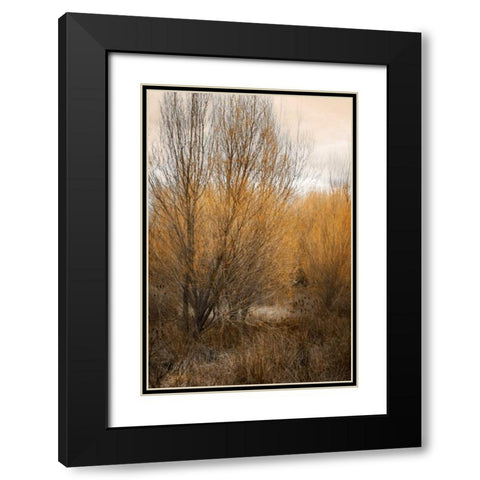 Spring Serenity II Black Modern Wood Framed Art Print with Double Matting by Geyman, Vitaly