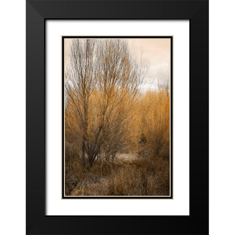 Spring Serenity II Black Modern Wood Framed Art Print with Double Matting by Geyman, Vitaly