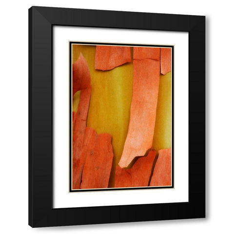 Madrone Mosaic I Black Modern Wood Framed Art Print with Double Matting by Geyman, Vitaly