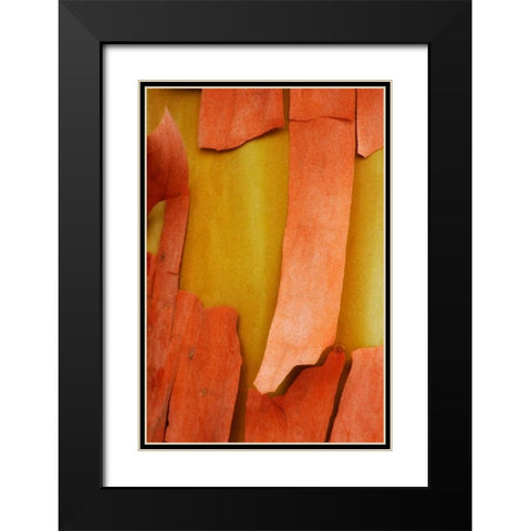 Madrone Mosaic I Black Modern Wood Framed Art Print with Double Matting by Geyman, Vitaly