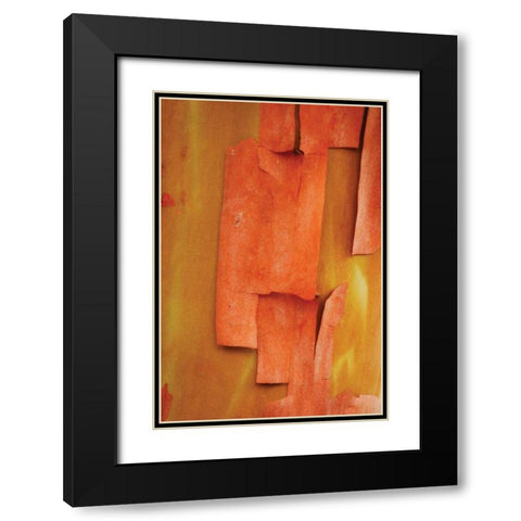 Madrone Mosaic II Black Modern Wood Framed Art Print with Double Matting by Geyman, Vitaly