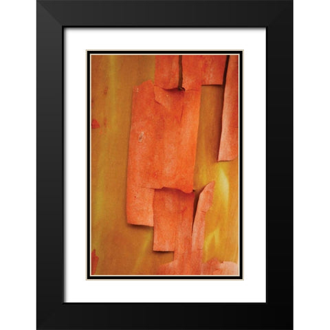 Madrone Mosaic II Black Modern Wood Framed Art Print with Double Matting by Geyman, Vitaly