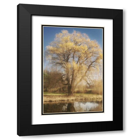 Willow Magic I Black Modern Wood Framed Art Print with Double Matting by Vitaly, Geyman