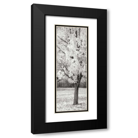 Splash of Color III BW Black Modern Wood Framed Art Print with Double Matting by Geyman, Vitaly