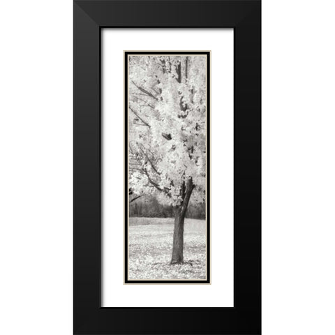 Splash of Color III BW Black Modern Wood Framed Art Print with Double Matting by Geyman, Vitaly