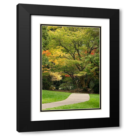 Fall Colors III Black Modern Wood Framed Art Print with Double Matting by Geyman, Vitaly