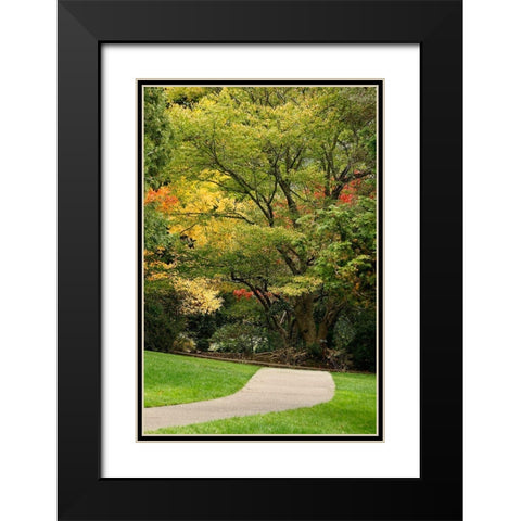 Fall Colors III Black Modern Wood Framed Art Print with Double Matting by Geyman, Vitaly