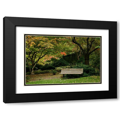 Fall Colors IV Black Modern Wood Framed Art Print with Double Matting by Geyman, Vitaly