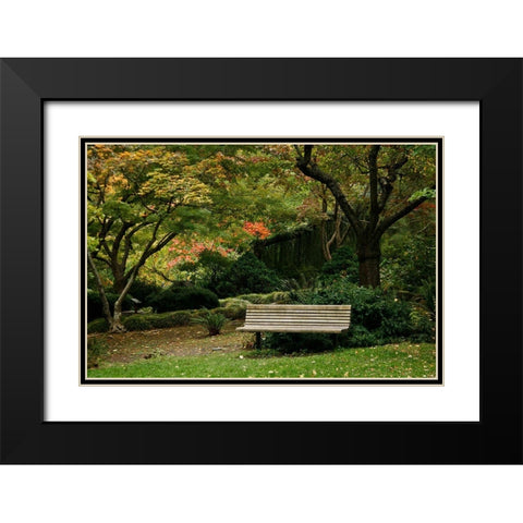Fall Colors IV Black Modern Wood Framed Art Print with Double Matting by Geyman, Vitaly