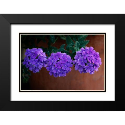 Tri Floral Bouquet Black Modern Wood Framed Art Print with Double Matting by Geyman, Vitaly