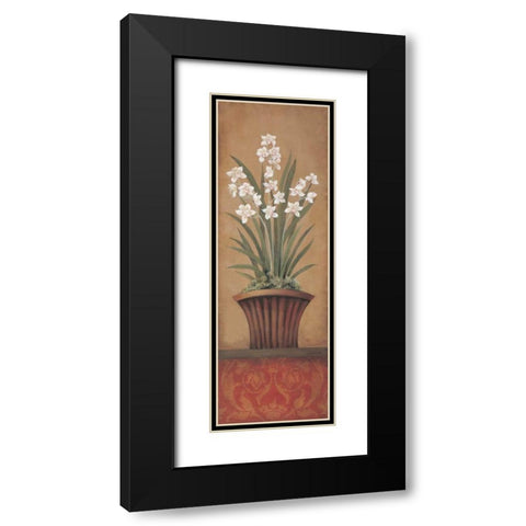 Paperwhites II Black Modern Wood Framed Art Print with Double Matting by 3 Bamboo Studio