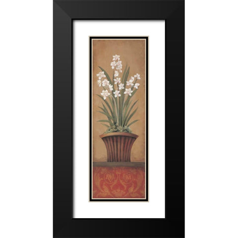 Paperwhites II Black Modern Wood Framed Art Print with Double Matting by 3 Bamboo Studio