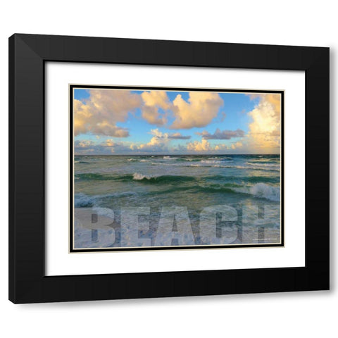 Florida Beach Black Modern Wood Framed Art Print with Double Matting by Williams, Todd