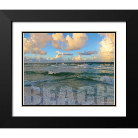 Florida Beach Black Modern Wood Framed Art Print with Double Matting by Williams, Todd