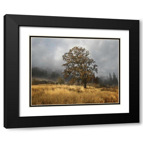 Field of Gold Black Modern Wood Framed Art Print with Double Matting by Geyman, Vitaly