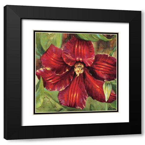 Rosa Odorada Black Modern Wood Framed Art Print with Double Matting by Werbelow, Selina