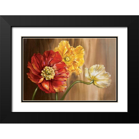 Poppies Black Modern Wood Framed Art Print with Double Matting by Werbelow, Selina