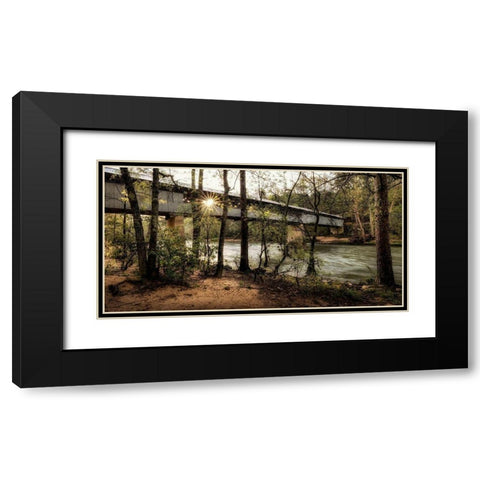 Swann Biridge III Black Modern Wood Framed Art Print with Double Matting by Head, Danny