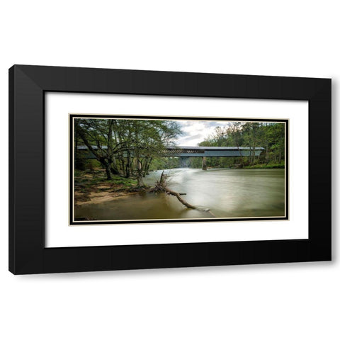 Swann Bridge VII Black Modern Wood Framed Art Print with Double Matting by Head, Danny