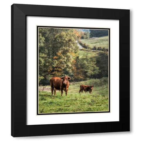 Moo Black Modern Wood Framed Art Print with Double Matting by Head, Danny