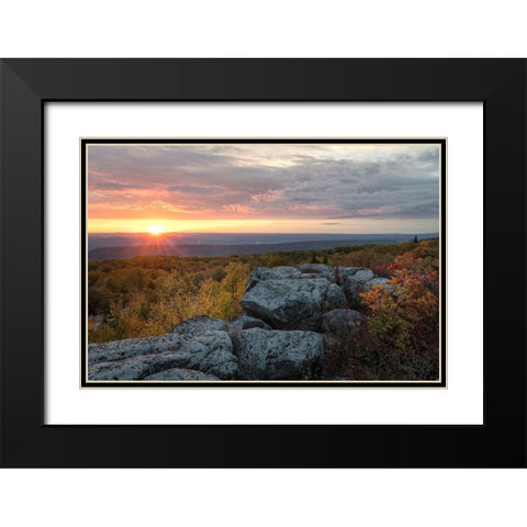 Yellow Dawn II Black Modern Wood Framed Art Print with Double Matting by Head, Danny