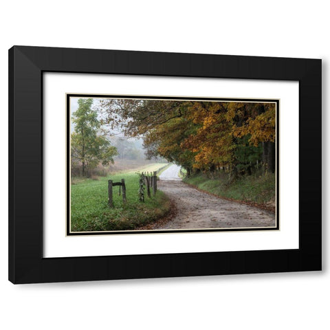 Cove Lane III Black Modern Wood Framed Art Print with Double Matting by Head, Danny