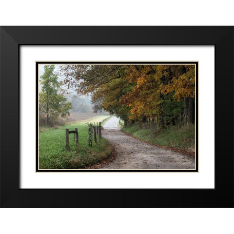 Cove Lane III Black Modern Wood Framed Art Print with Double Matting by Head, Danny