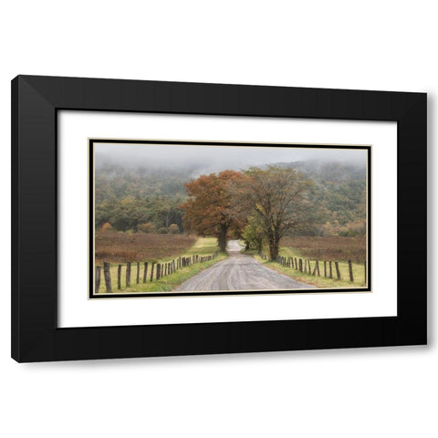 Looking Back Black Modern Wood Framed Art Print with Double Matting by Head, Danny