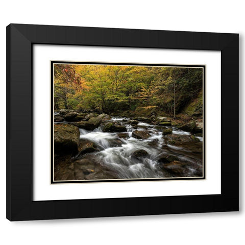 Autumn at Tremont II Black Modern Wood Framed Art Print with Double Matting by Head, Danny