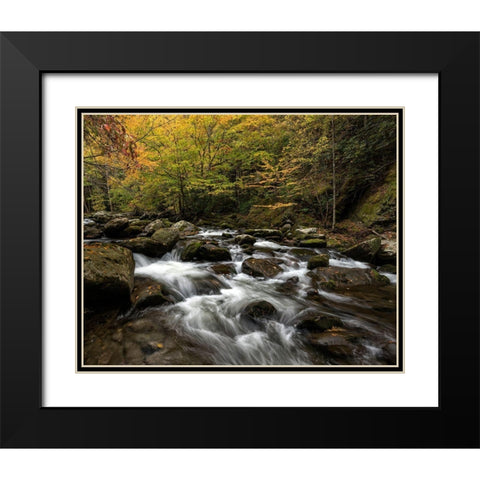 Autumn at Tremont II Black Modern Wood Framed Art Print with Double Matting by Head, Danny