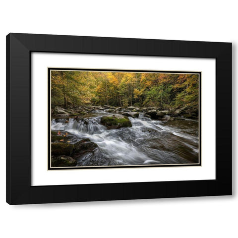 Autumn at Tremont III Black Modern Wood Framed Art Print with Double Matting by Head, Danny