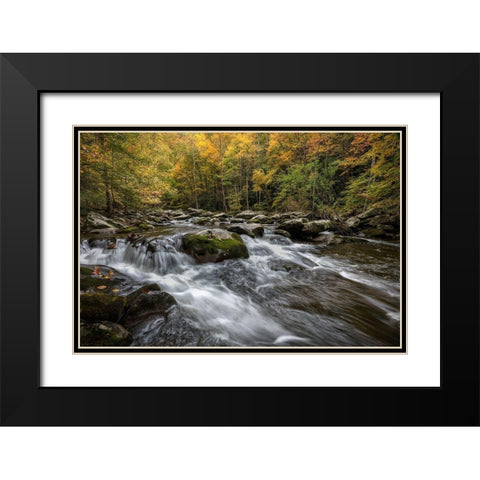Autumn at Tremont III Black Modern Wood Framed Art Print with Double Matting by Head, Danny