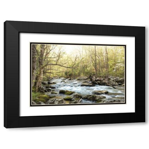 Bliss Black Modern Wood Framed Art Print with Double Matting by Head, Danny