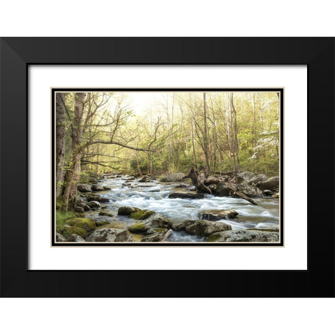 Bliss Black Modern Wood Framed Art Print with Double Matting by Head, Danny