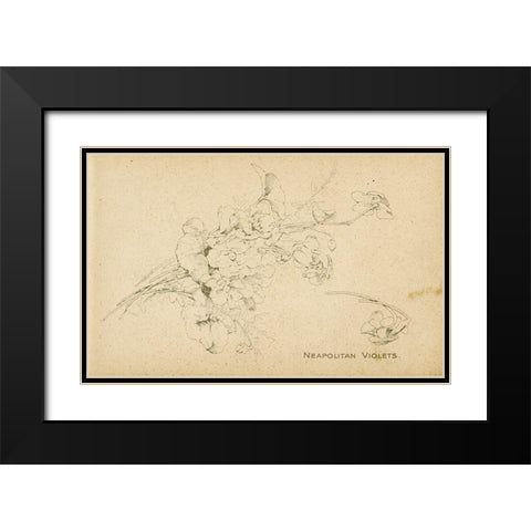 Neapolitan Violets Black Modern Wood Framed Art Print with Double Matting by Art Licensing Studio